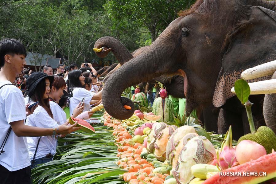 Праздник слонов в Сишуанбаньна