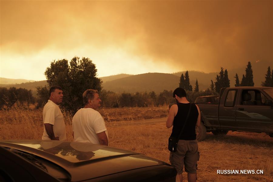 В Греции бушует сильный лесной пожар 
