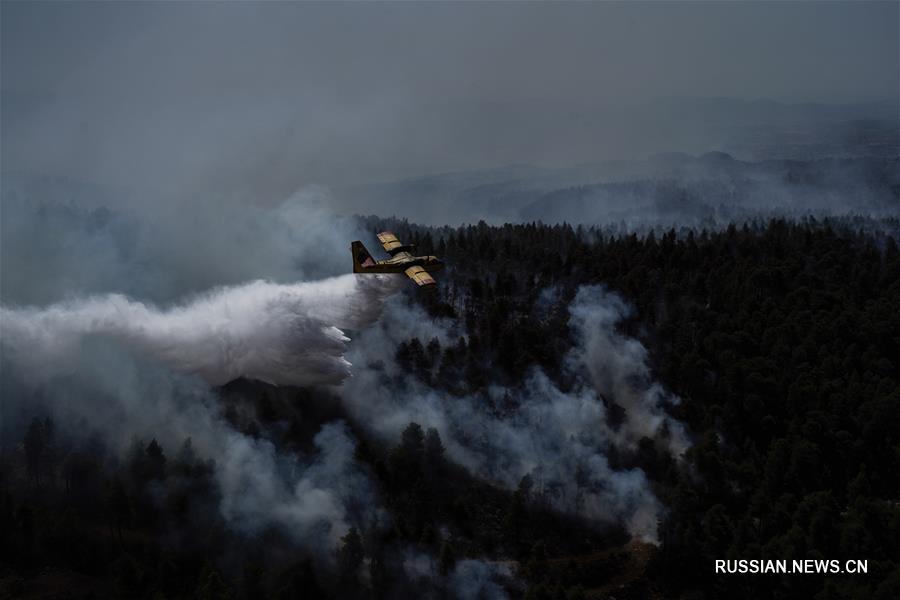 На греческом острове Эвбея продолжает бушевать сильный лесной пожар