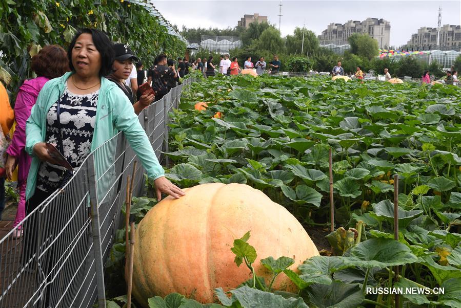 В Чанчуне открылась крупная выставка сельхозпроизводства и продуктов питания