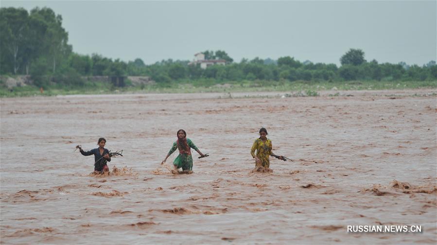 （国际）（2）洪水泛滥达维河