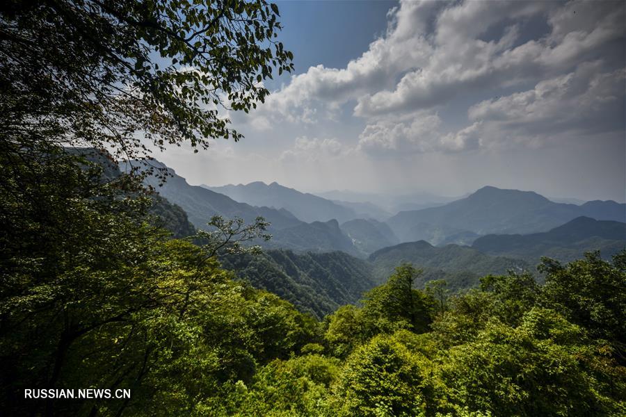 Захватывающие дух пейзажи ландшафтного парка Цзиньфошань на юго-западе Китая