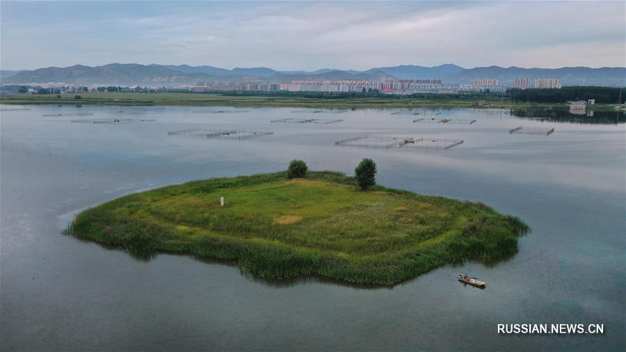Защита водно-болотных угодий в уезде Гуанлин