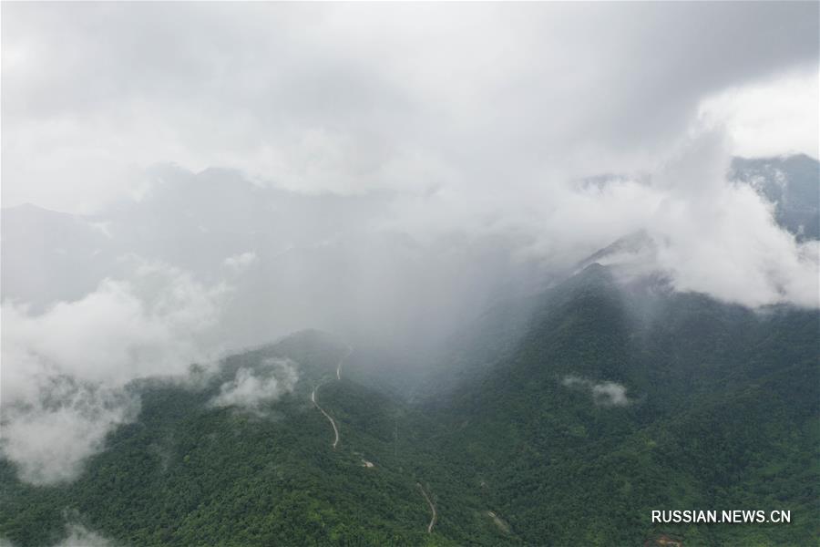 Осенний туман над горами Шиваньдашань в Гуанси