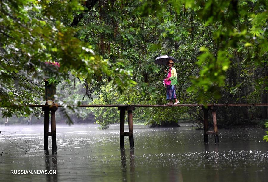 Развитие сельского туризма приносит процветание древней деревне в провинции Аньхой