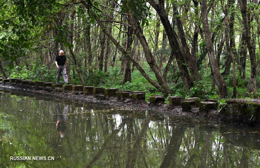 Развитие сельского туризма приносит процветание древней деревне в провинции Аньхой