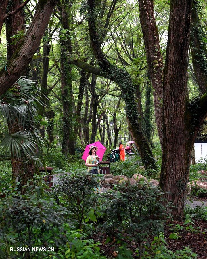 Развитие сельского туризма приносит процветание древней деревне в провинции Аньхой