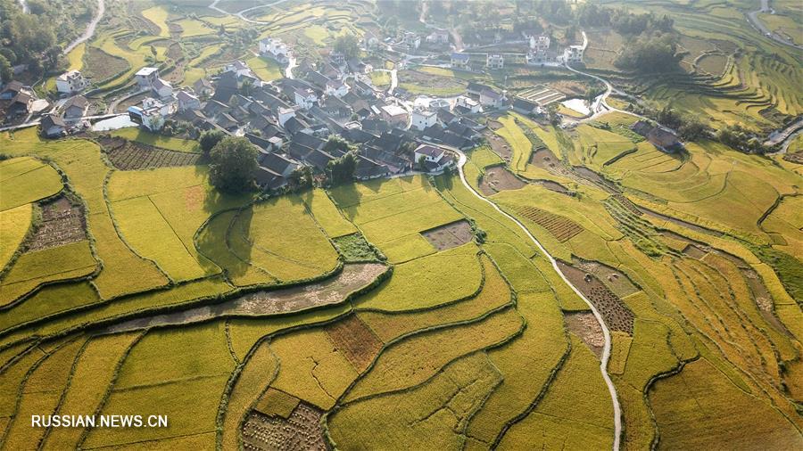 Осеннее очарование Сянси-Туцзя-Мяоского автономного округа