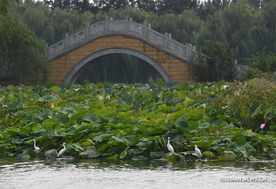Водное путешествие по Пекинско-Ханчжоускому Великому каналу