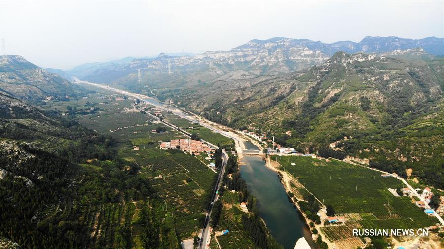 Киви -- источник благосостояния жителей Цзыбо 