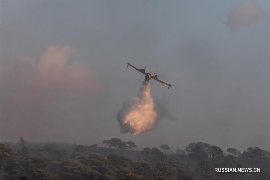 В окрестностях Афин вспыхнул горный пожар