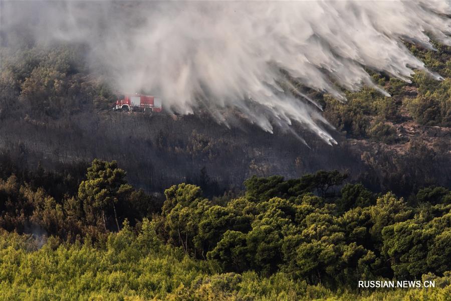 В окрестностях Афин вспыхнул горный пожар