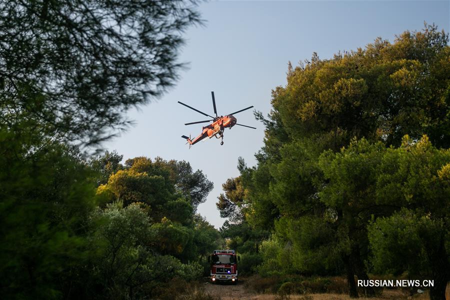 В окрестностях Афин вспыхнул горный пожар