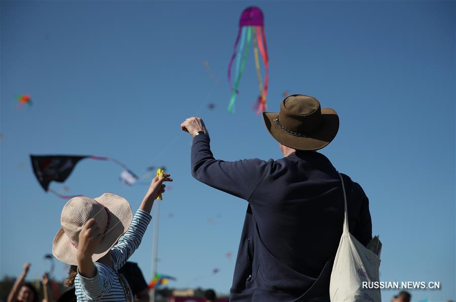 Воздушные змеи взмыли в небо над пляжем Бонди