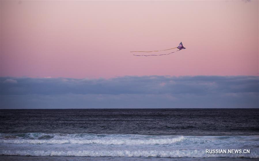 （国际）（6）风筝飞扬