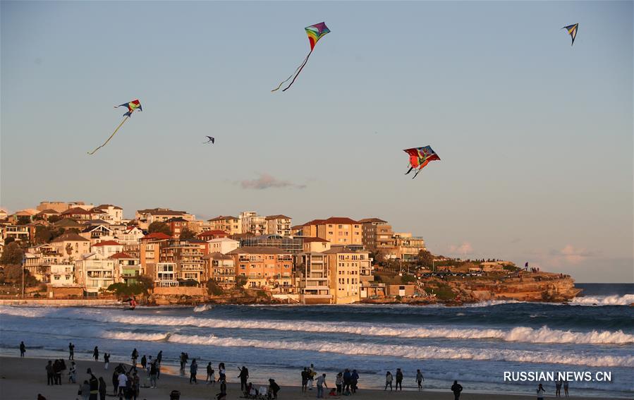（国际）（7）风筝飞扬