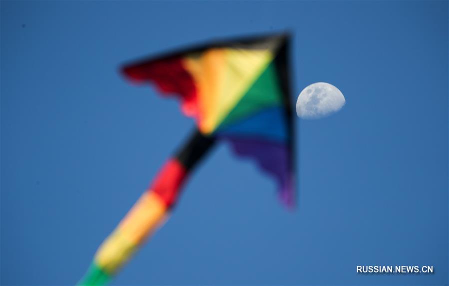 （国际）（8）风筝飞扬