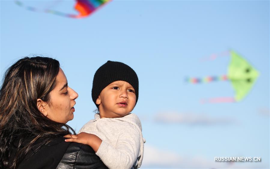 （国际）（9）风筝飞扬