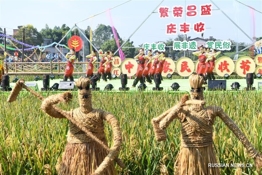 Праздник урожая на рисовых полях в Чунцине