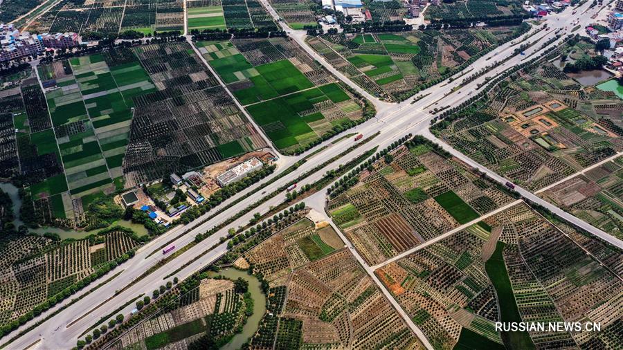 Вид сверху на мандариновые сады района Умин