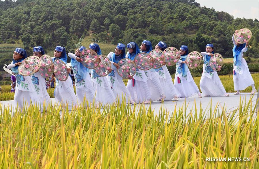 Праздник урожая в уезде Сюньдянь