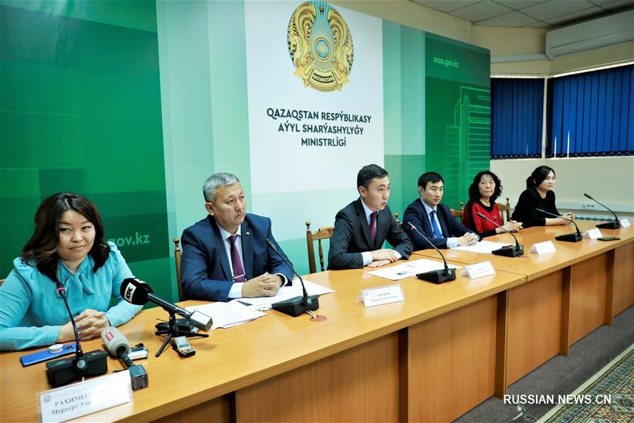 Казахстан будет экспортировать в Китай верблюжье молоко