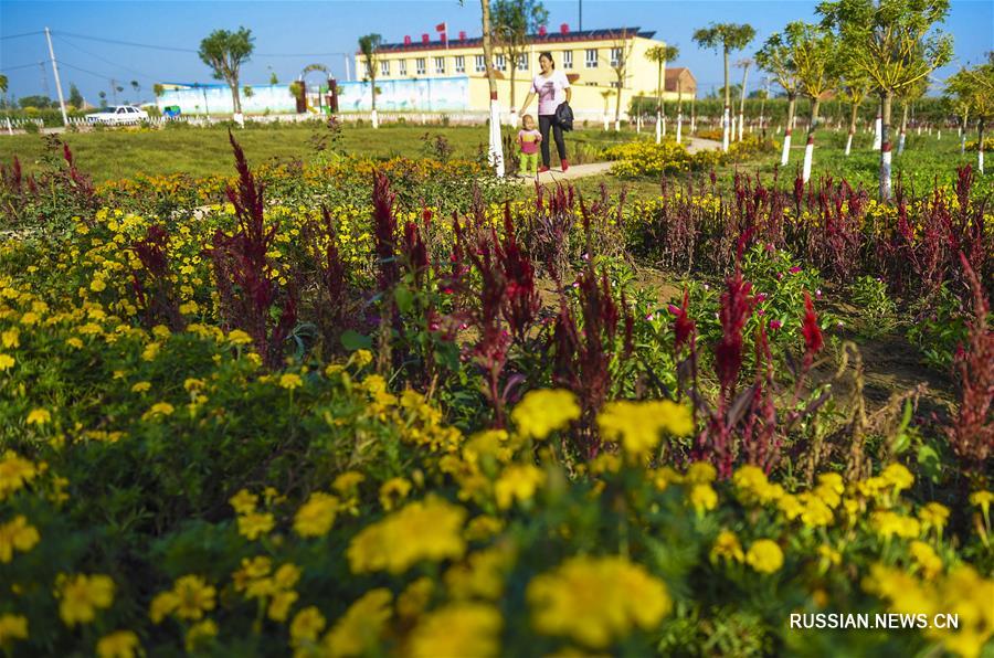 В Северном Китае принимают эффективные меры по улучшению жилой среды в сельской местности