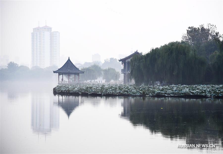 Живописное полотно озера Даминху в провинции Шаньдун 