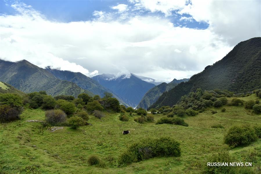 Долина Гагунгоу -- природная жемчужина Тибетского АР