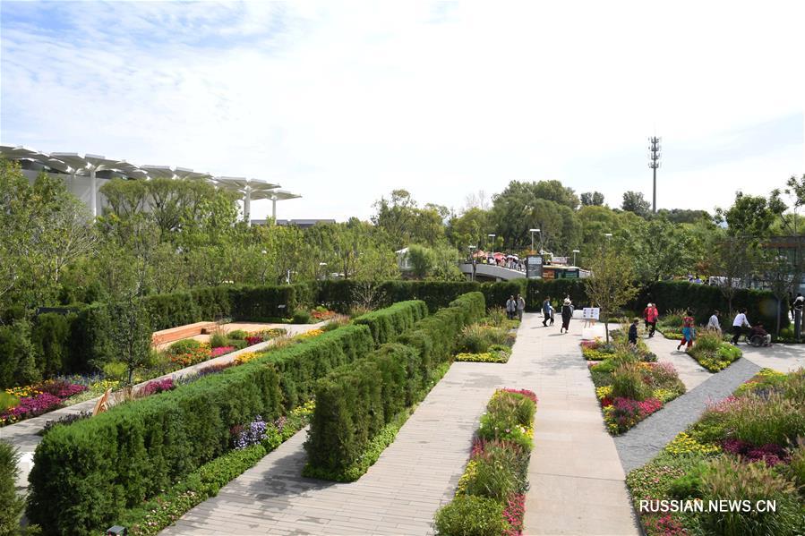 Зеленый Китай -- Градостроительство и экоустойчивость как основа гармоничного развития Сянгана