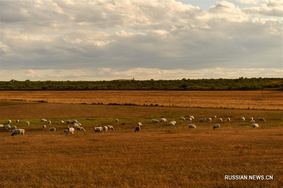 Осенние пейзажи в степях АР Внутренняя Монголия