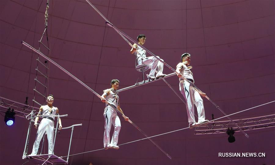 В Беларуси завершился 2-й Минский международный фестиваль циркового искусства