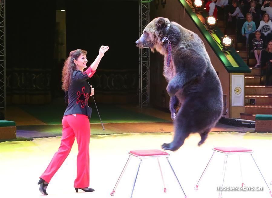 В Беларуси завершился 2-й Минский международный фестиваль циркового искусства