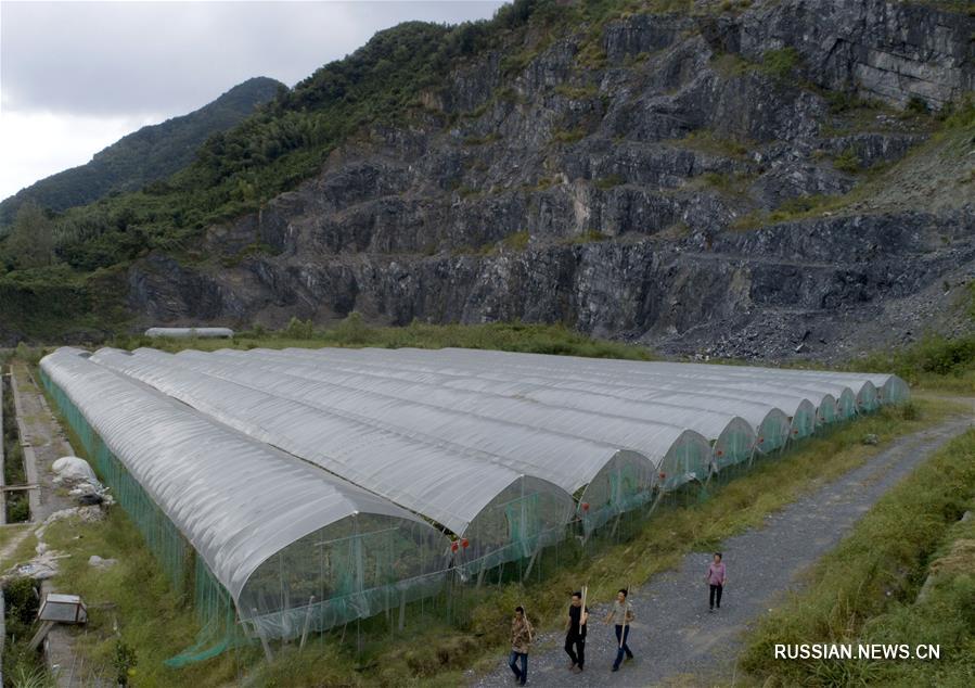 Плодородные поля и сады на месте заброшенных рудников
