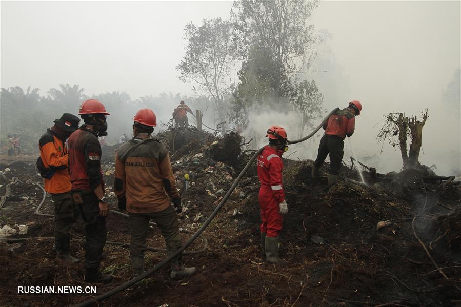 Лесные пожары в Индонезии продолжаются