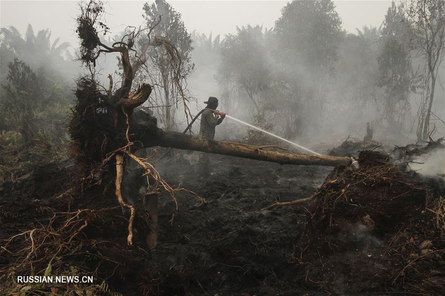 Лесные пожары в Индонезии продолжаются