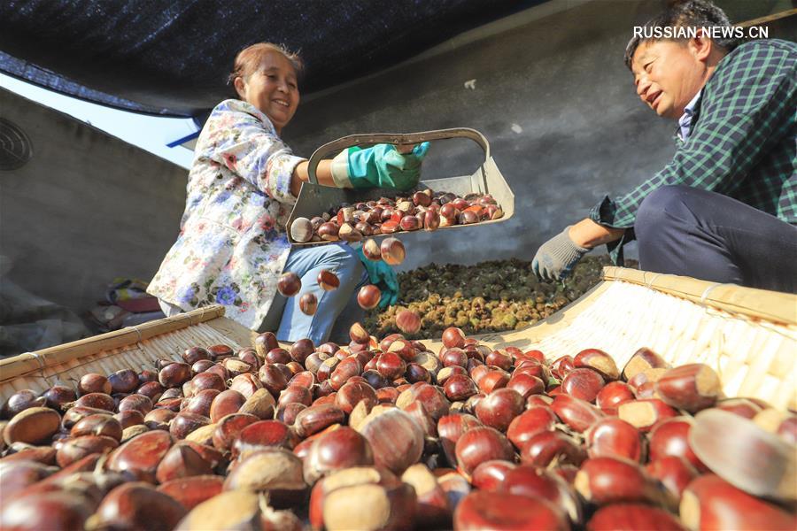 Осень -- время сбора урожая