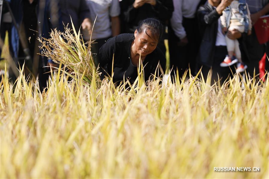 Китай отмечает Праздник урожая китайских крестьян 