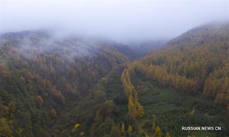 Прекрасный осенний пейзаж гор Люпаньшань после дождя