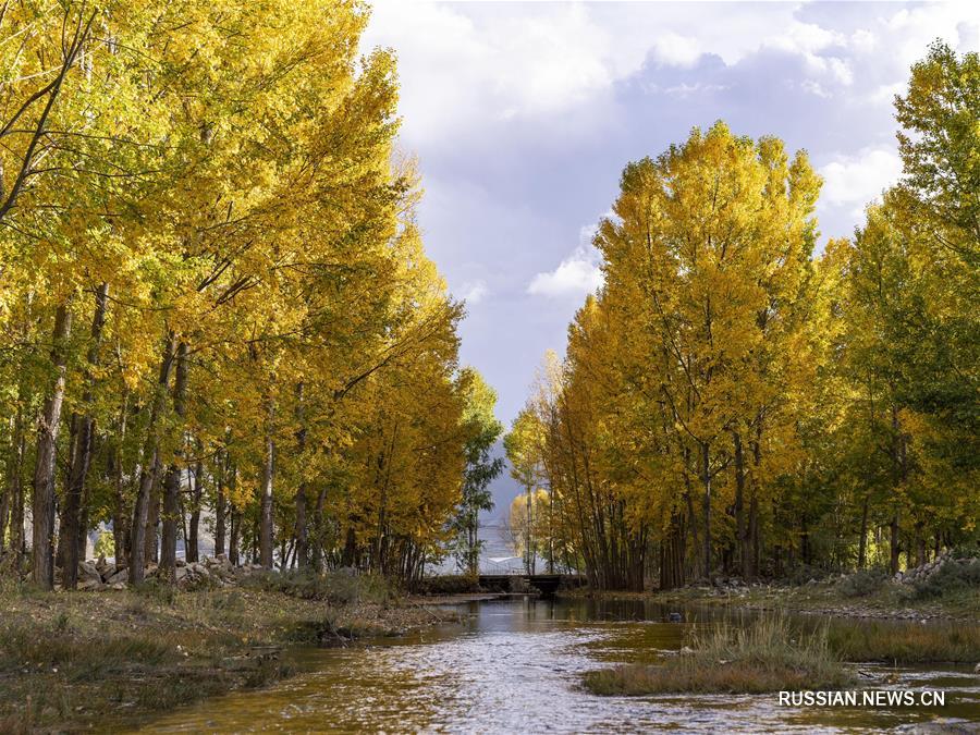 Золотая осень в долине реки Лхаса