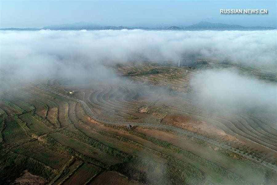 Облачное море в горах Тайханшань