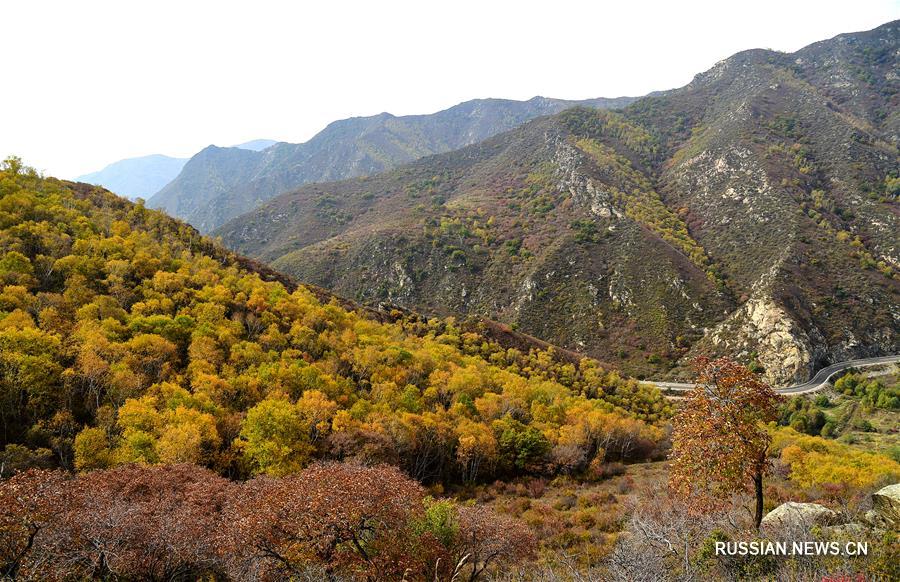 Чарующий осенний пейзаж в горах Дациншань в Хух-Хото 