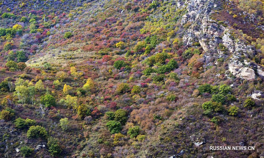 Чарующий осенний пейзаж в горах Дациншань в Хух-Хото 