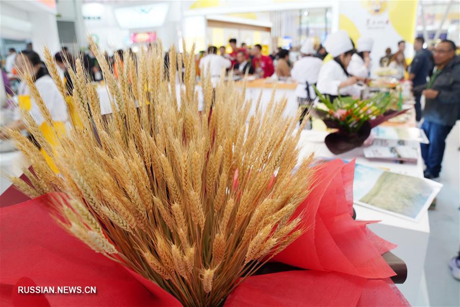 В Харбине открылся 2-й Хэйлунцзянский международный фестиваль риса