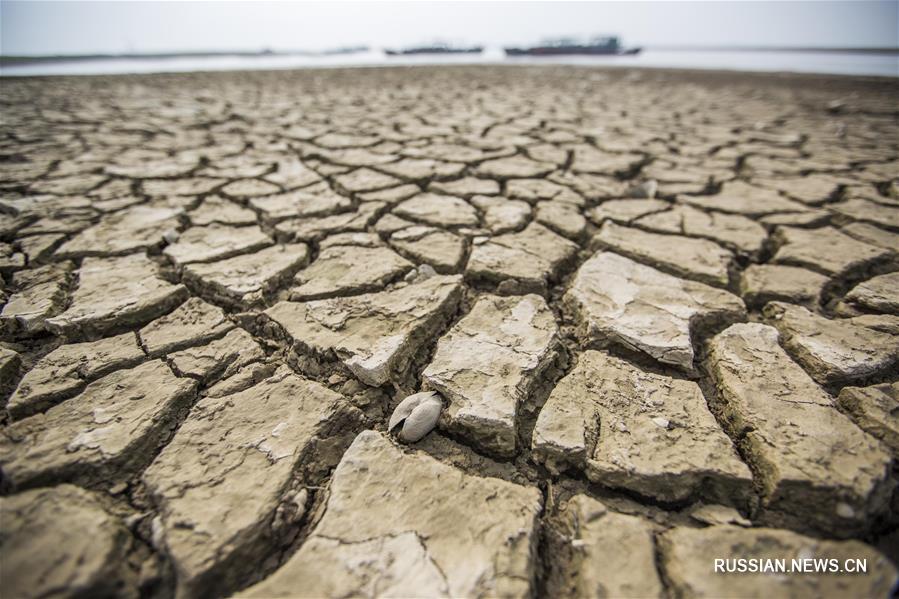 Провинция Цзянси страдает от засухи