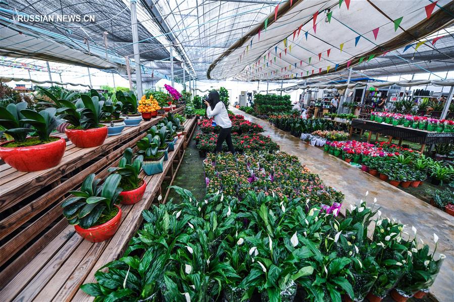 Китайская конференция по декоративным растениям 2019 в уезде Чансин