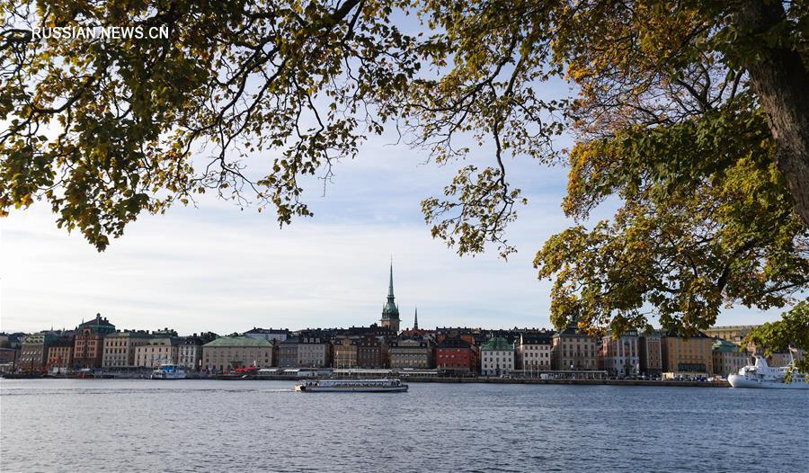 Осенний пейзаж в Стокгольме 