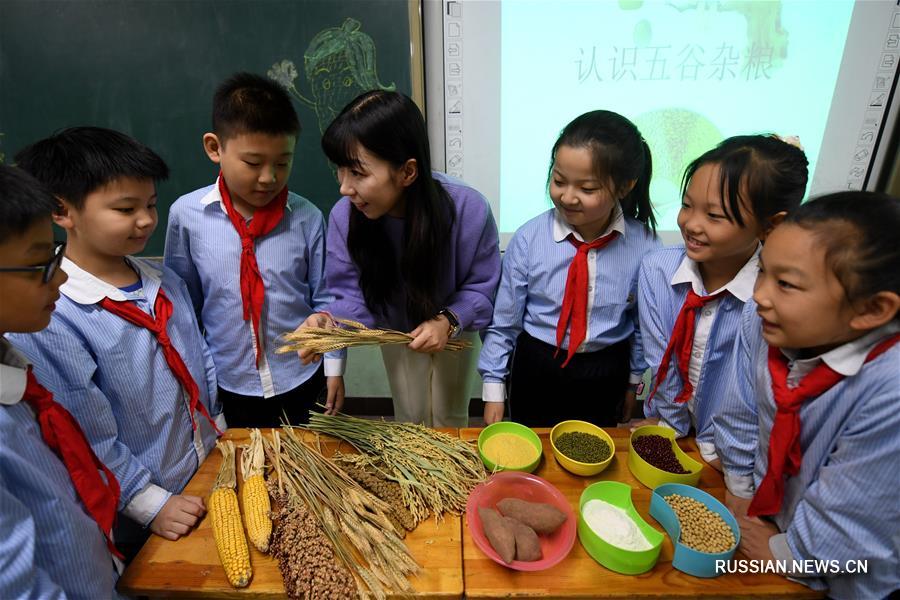 Детям в провинции Хэбэй прививают любовь и бережное отношение к злаковым культурам 