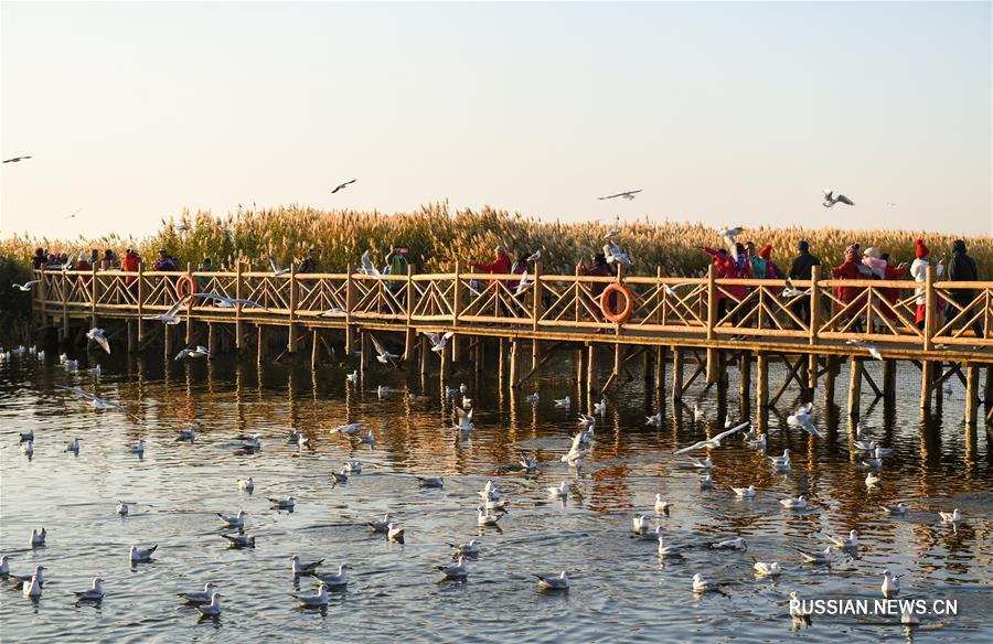 Колыхание волн на озере Гашун-Нур -- свидетельство его возрождения