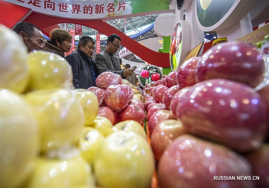 Международная выставка фруктов в Юньчэне